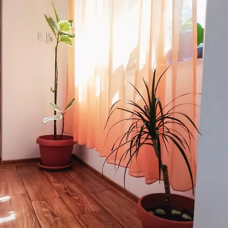 Pensión Casa Fortuna